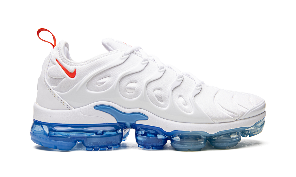 Air VaporMax Plus DV2119 100